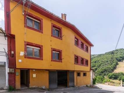 Edificio en venta en Cangas del Narcea