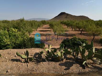 Parcela rústica en venta en Mazarrón