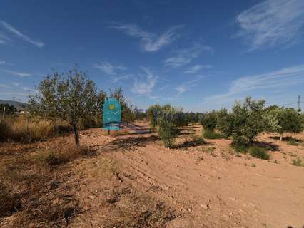 Parcela rústica en venta en Fuente Álamo de Murcia