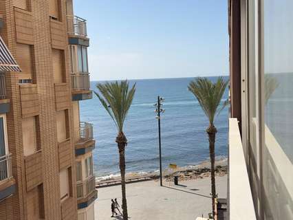 Apartamento en alquiler en Torrevieja rebajado