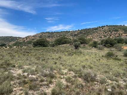 Parcela rústica en venta en Brihuega