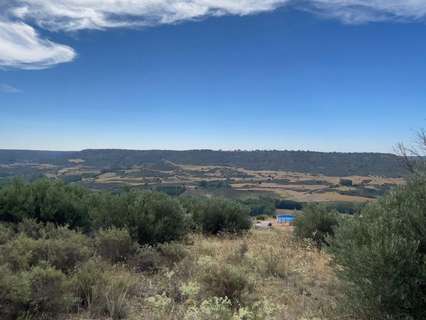 Parcela rústica en venta en Brihuega