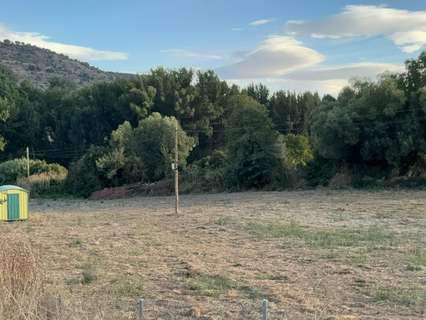 Parcela rústica en venta en Brihuega