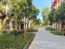 Piso en alquiler en Madrid