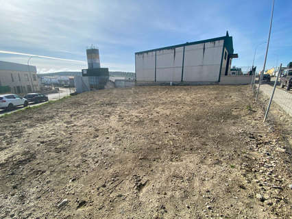 Parcela rústica en venta en Bujalance