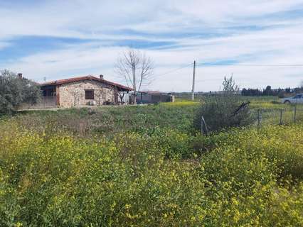 Parcela rústica en venta en El Carpio