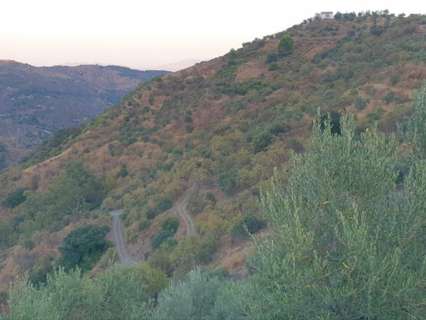 Parcela rústica en venta en Yunquera