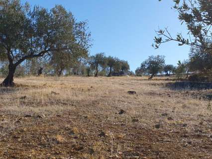 Parcela rústica en venta en Tolox