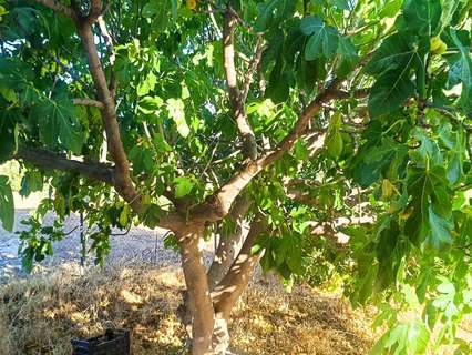 Casa en venta en Huelma