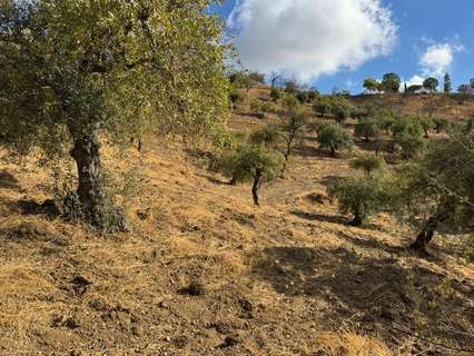 Parcela rústica en venta en Alozaina