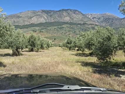 Parcela rústica en venta en Huelma
