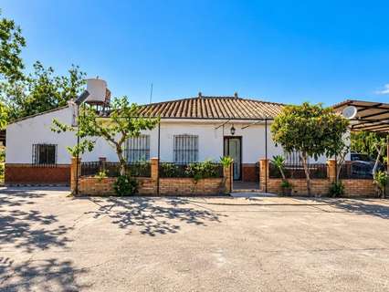 Parcela rústica en venta en Pizarra