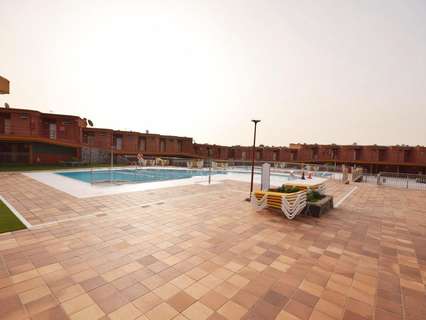 Estudio en alquiler en San Bartolomé de Tirajana