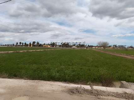 Parcela rústica en venta en Catral