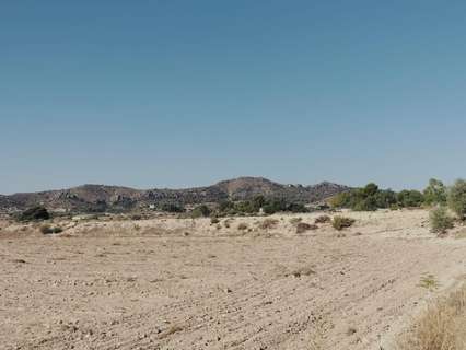 Parcela rústica en venta en Novelda rebajada