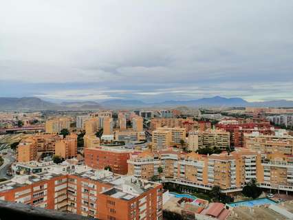 Piso en alquiler en Alicante