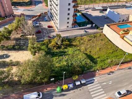 Parcela rústica en venta en Guardamar del Segura