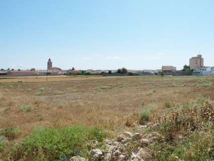 Parcela rústica en venta en Mahora