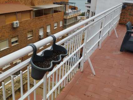 Piso en alquiler en Alicante