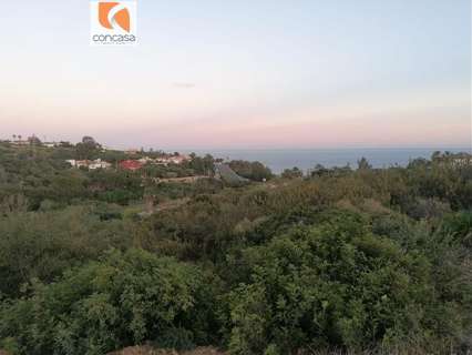 Parcela rústica en venta en San Roque