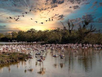 Edificio en venta en San Pedro del Pinatar