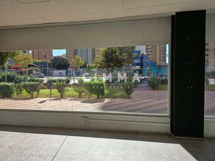 Local comercial en alquiler en Benidorm