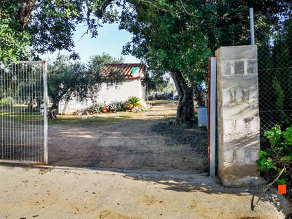 Casa rústica en venta en Amposta