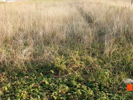 Parcela rústica en venta en Ulldecona