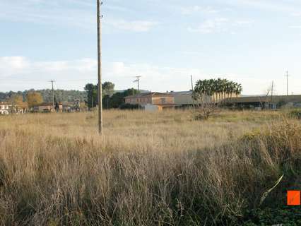 Parcela rústica en venta en Ulldecona