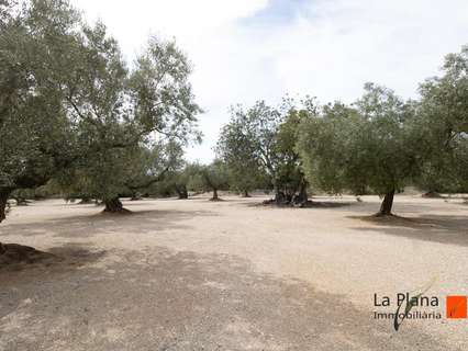 Casa rústica en venta en La Galera