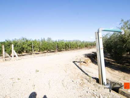 Parcela rústica en venta en Santa Bàrbara