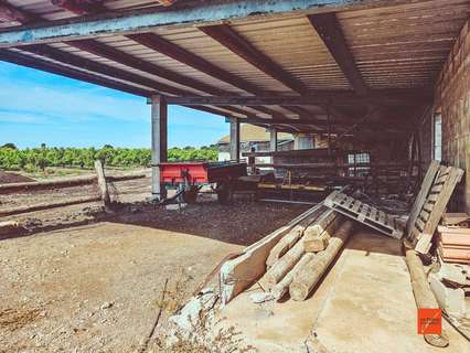 Parcela rústica en venta en Santa Bàrbara