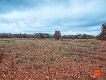 Parcela rústica en venta en Santa Bàrbara