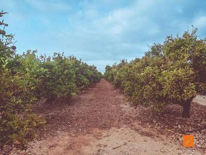 Parcela rústica en venta en La Galera
