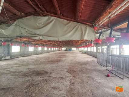 Local comercial en venta en Santa Bàrbara