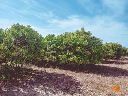 Parcela rústica en venta en Santa Bàrbara