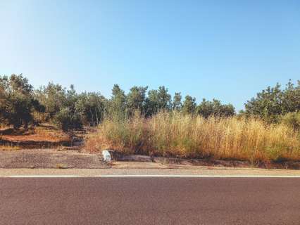 Parcela rústica en venta en Ulldecona