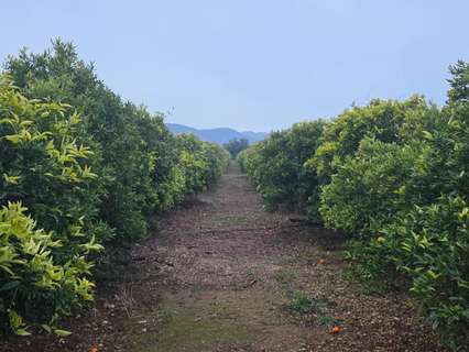 Parcela rústica en venta en Masdenverge