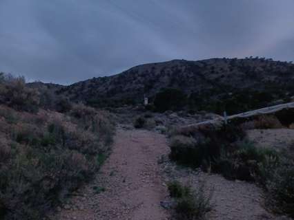 Parcela rústica en venta en Novelda