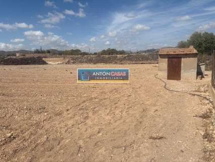 Parcela rústica en venta en Novelda