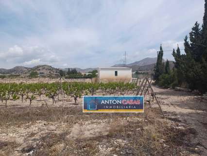 Parcela rústica en venta en Novelda