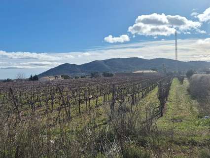 Parcela rústica en venta en La Romana