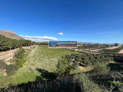 Parcela rústica en venta en Aspe