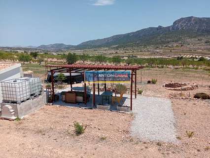 Parcela rústica en venta en La Romana
