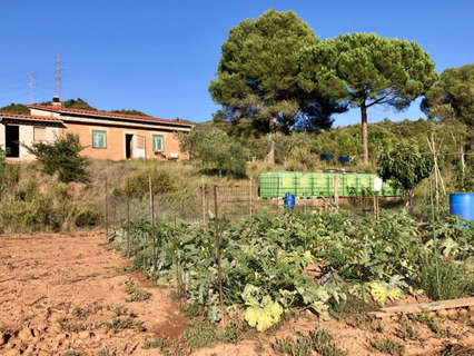 Parcela rústica en venta en Sant Llorenç Savall