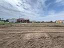 Parcela rústica en venta en Catral zona El Molino