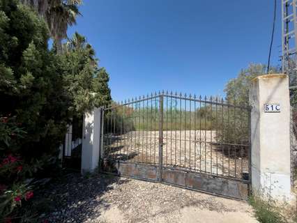 Parcela rústica en venta en Dolores zona MAYORASGO