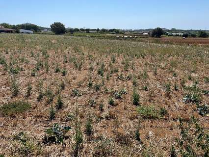 Parcela rústica en venta en Tordera