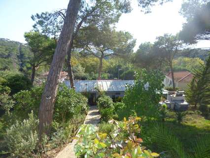 Parcela urbana en venta en Tordera