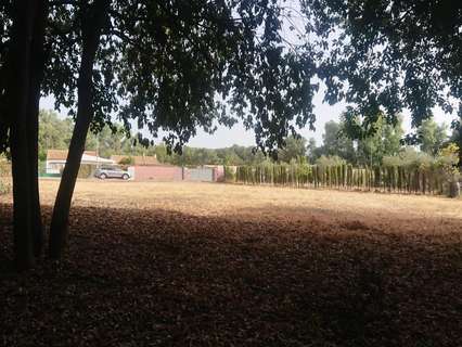 Parcela rústica en venta en Almodóvar del Río